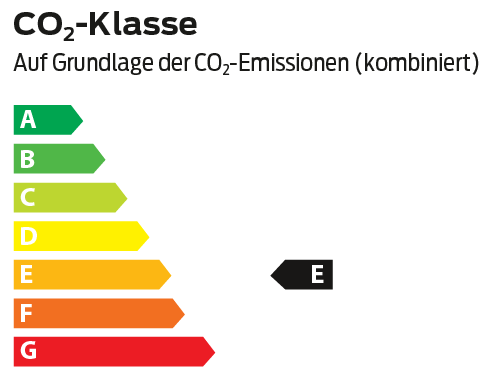 Energie-Effizienzklasse: E