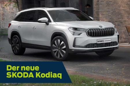 autoboegelsack skoda kodiaq 2024.news