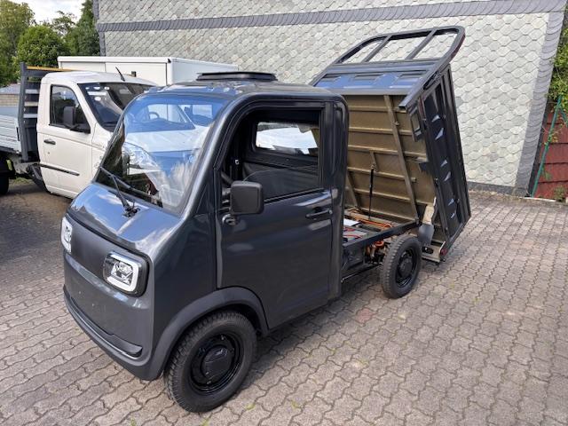 Andere  MINI-PICKUP TWIN+KIPPER+40KMH+AB 15 JAHREN - AM-1