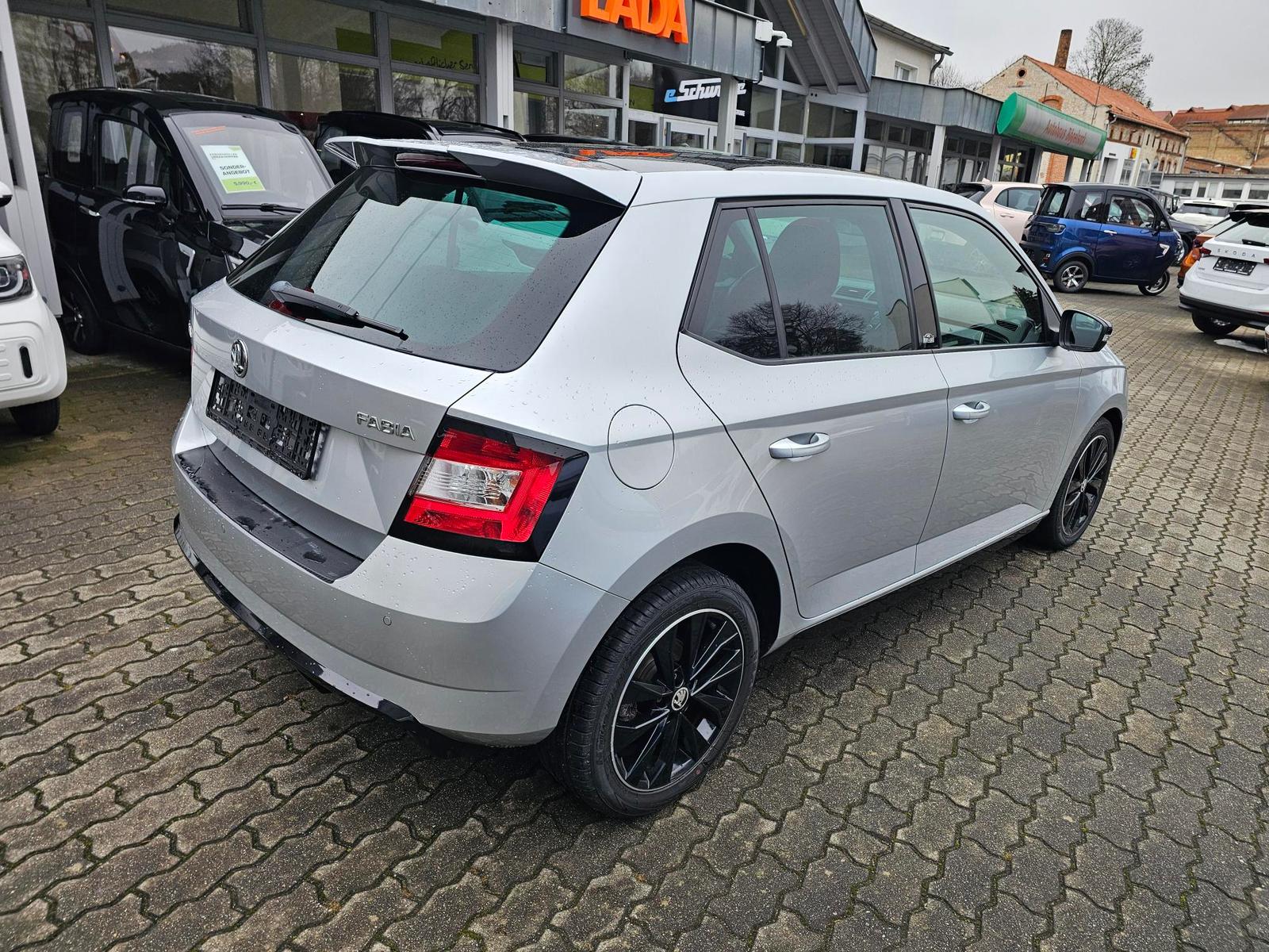 Skoda Fabia 1.4 TDI MONTE CARLO+NAVI+PANORAMA+2.HAND+-11
