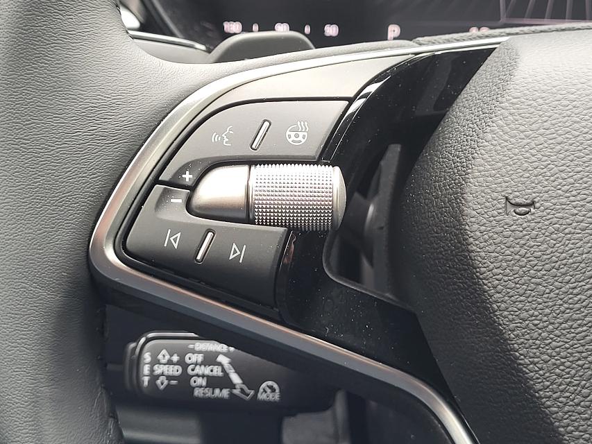 Skoda Fabia 1.5 TSI DSG SELECTION+ACC+VERKEHRSZEICHEN+-19
