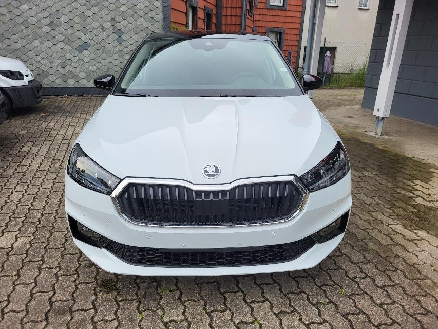 Skoda Fabia 1.5 TSI DSG SELECTION+ACC+VERKEHRSZEICHEN+-22