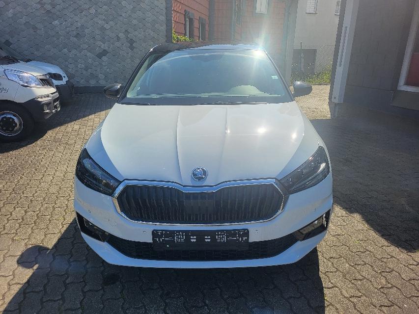 Skoda Fabia 1.5 TSI DSG SELECTION+ACC+VERKEHRSZEICHEN+-22