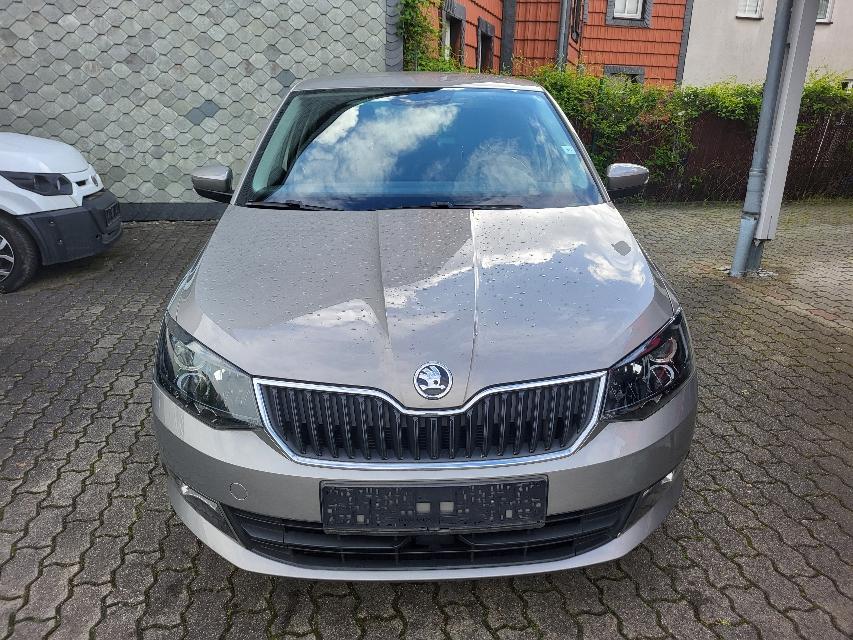 Skoda Fabia 1.0 TSI DSG CLEVER+CLIMATRONIC+ACC+1.HAND-11
