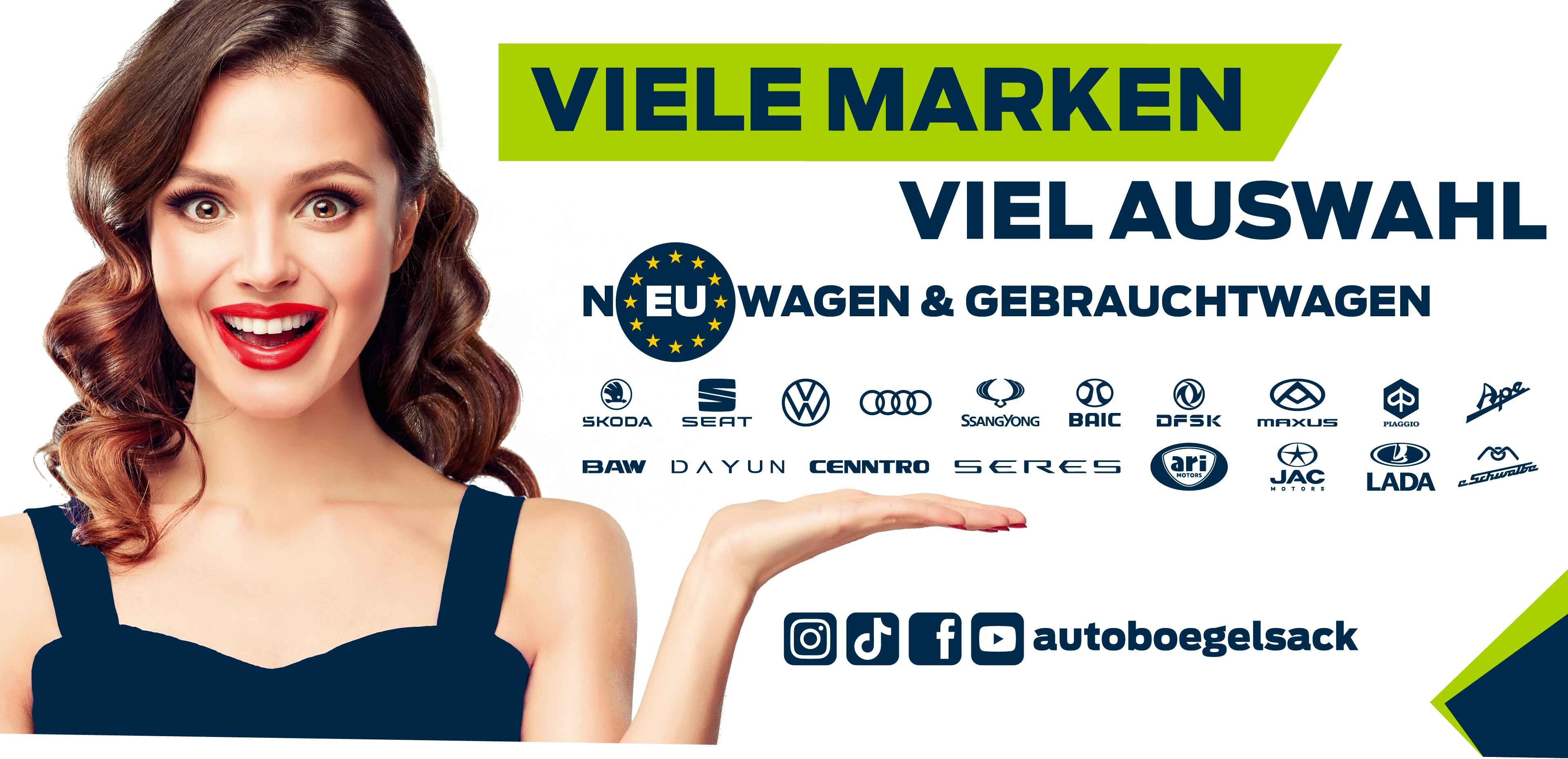 Bild zeigt die von autoboegelsack gehandelten Marken mit den jeweiligen Logos.